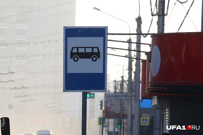 Зайти во Всемирную сеть можно будет на 116 городских остановках | Источник: Тимур Шарипкулов