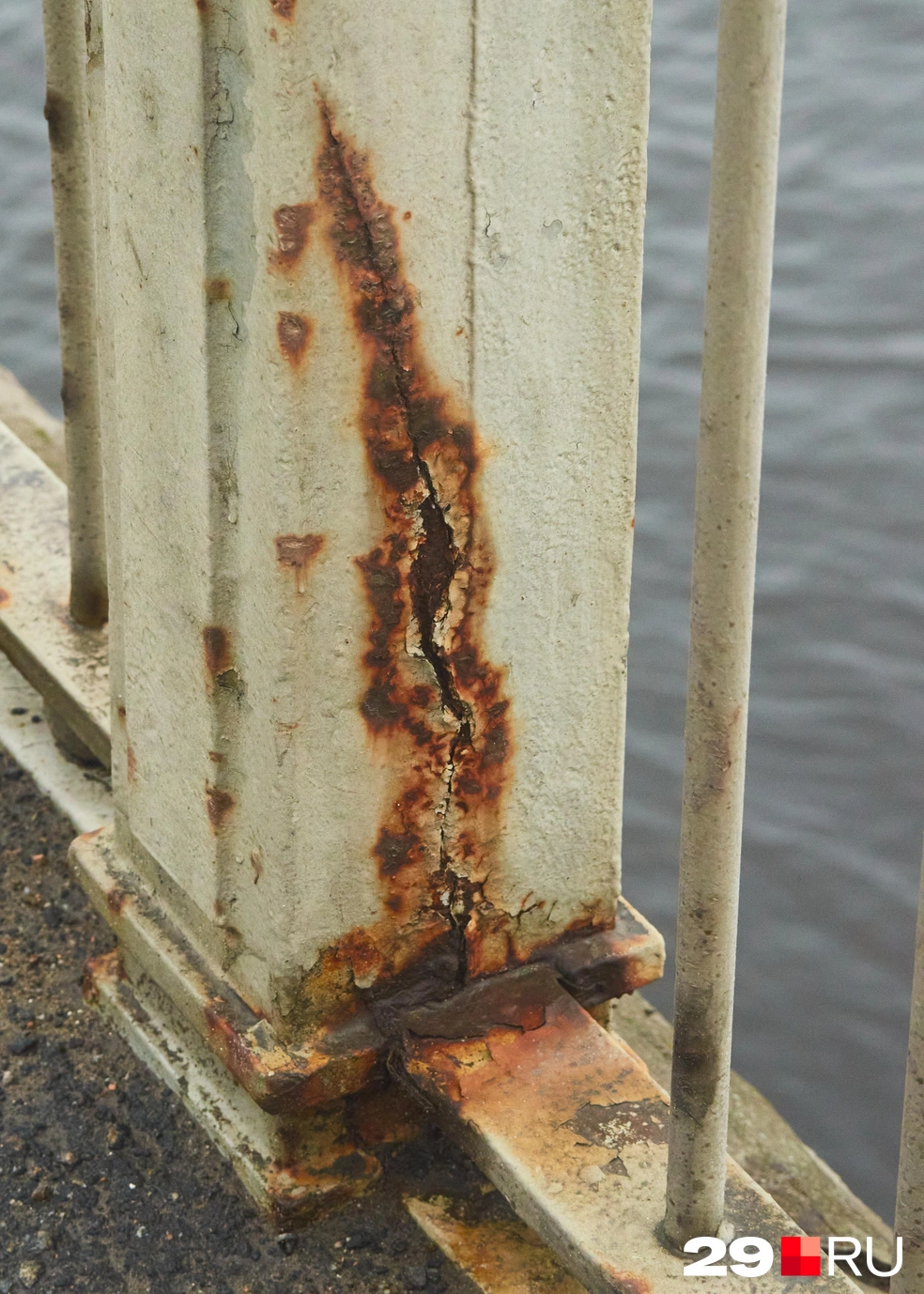 Источник: Антон Данилов / 29.RU