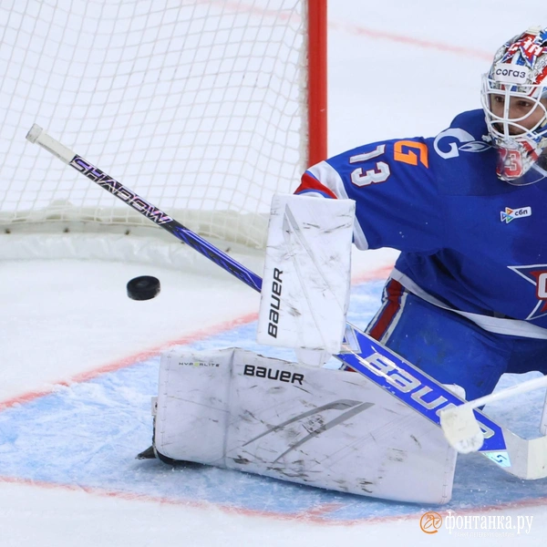 Источник: Марина Мамонтова / «Фонтанка.ру»