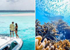 «Усыновить» коралловый риф и еще 5 причин посетить Мальдивы этой зимой