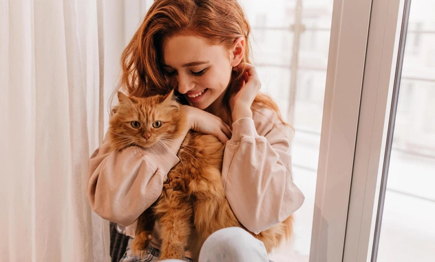 Только не кричите! Как воспитать из кота друга — советы ветеринара