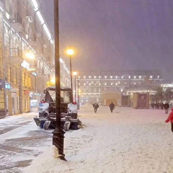 Источник: Комитет по благоустройству