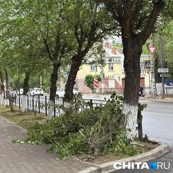 Источник: очевидец