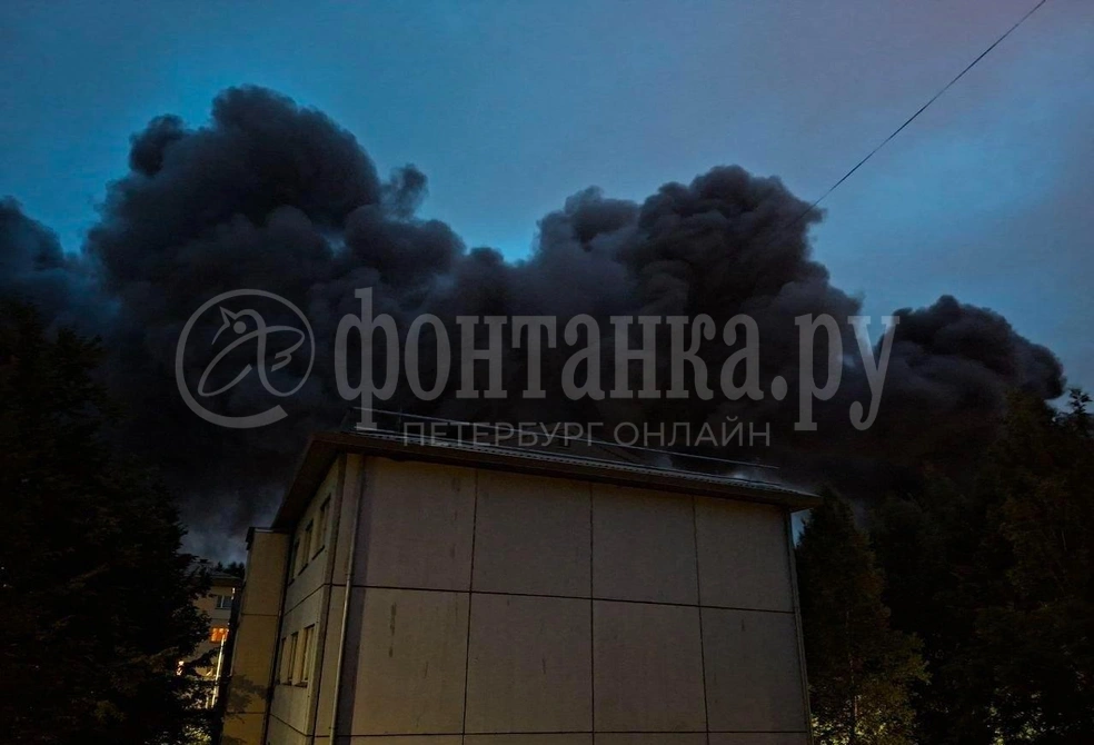 Источник: читатель «Фонтанки»