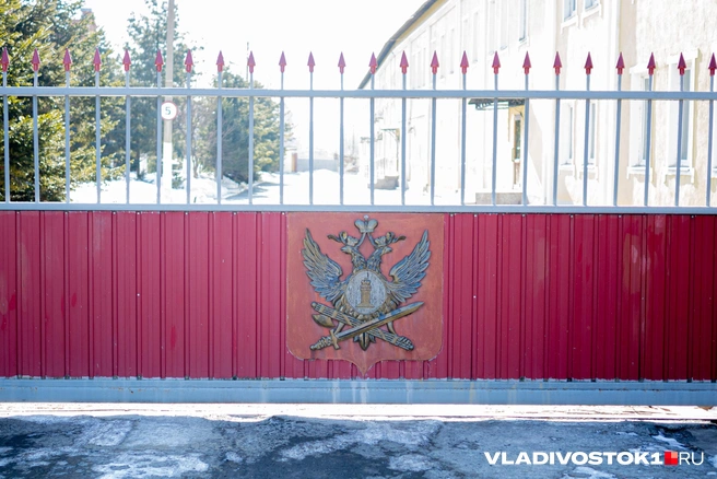 Источник: Елена Буйвол / VLADIVOSTOK1.RU
