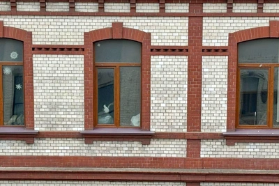 Чайка застряла в здании Кунст и Альберс