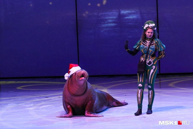 Деда Мороза сыграл морж | Источник: Артем Устюжанин / MSK1.RU