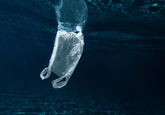 Бактерии по всему миру учатся перерабатывать пластик