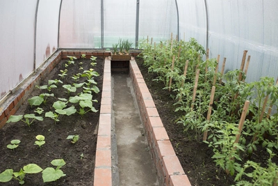 Советы агронома: как выбрать грунт для рассады