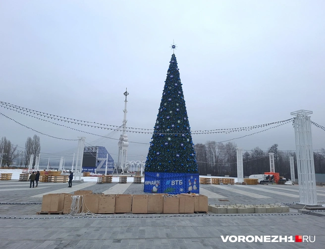 Источник: Алёна Воропаева / Voronezh1.ru