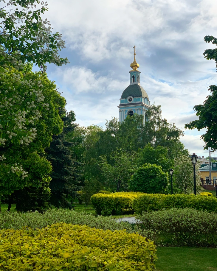 Москва глазами собачника: прогулки по центру столицы