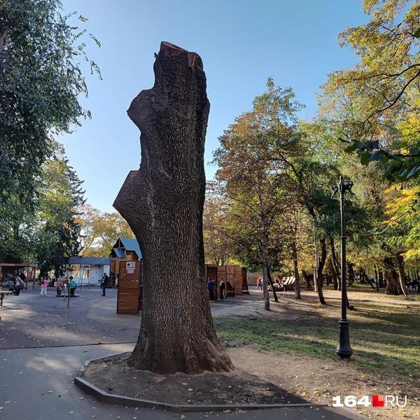 Источник: Сергей Гендин / 164.RU