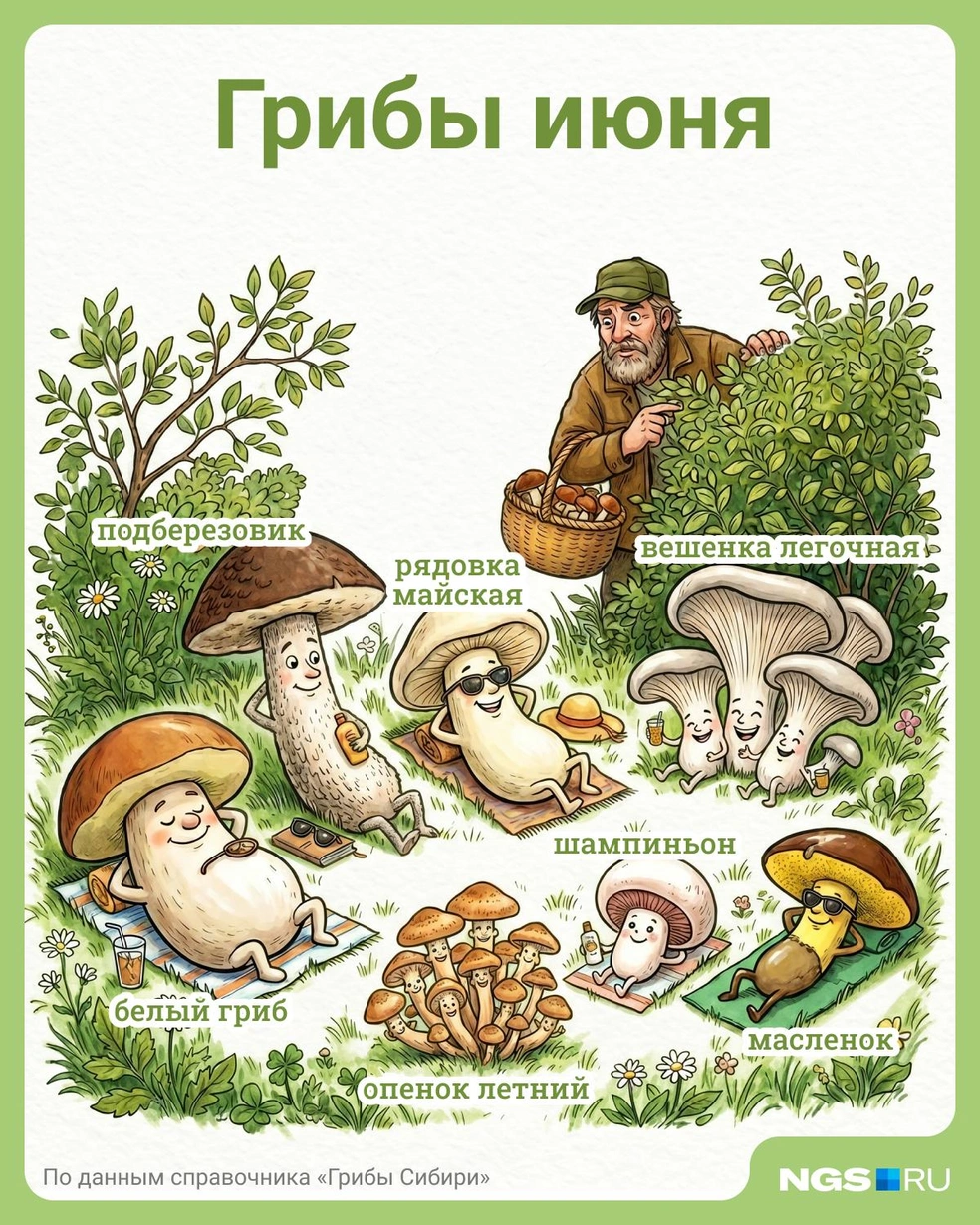 Источник: Юрий Орлов / Городские медиа