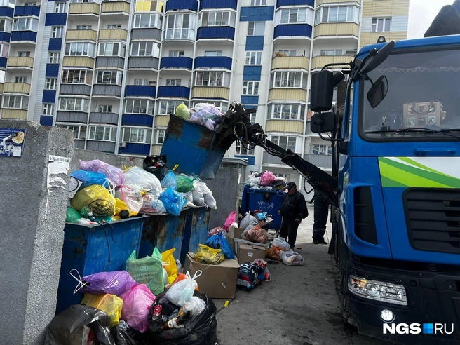 Такое количество мусора многочисленные жильцы многоквартирных домов на Одоевского выбрасывают меньше чем за сутки | Источник: Анна Скок / NGS.ru