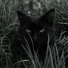 userpic__Sofiiko
