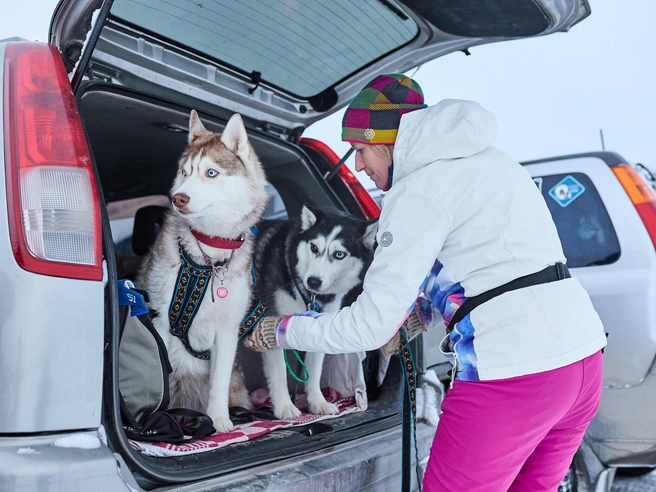 Участники приезжают из разных городов. | Источник: Александр Ощепков / NGS.RU 