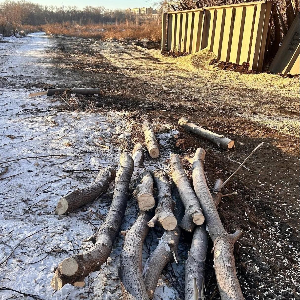 «Не хотим ещё одно производство под боком»: жители Металлургического района встревожились из-за вырубок у ДК ЧМК