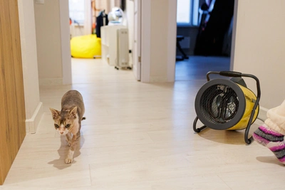 Штраф за уборку: что запрещено в квартире