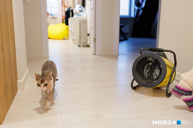 Приобретение квартиры — дело, требующее особой внимательности | Источник: Мария Ленц / NGS24.RU