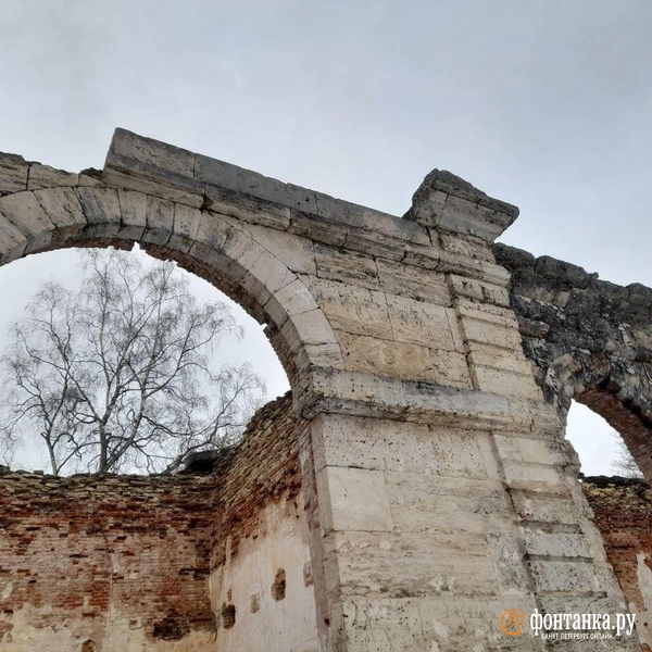 Лесная оранжерея | Источник: Анна Мотовилова / «Фонтанка.ру»