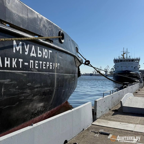 Источник: Валентин Егоршин / «Фонтанка.ру»