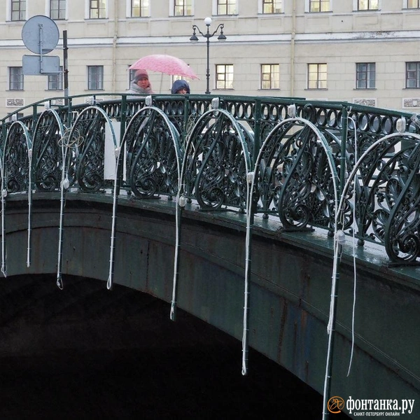 Источник: Михаил Огнев / «Фонтанка.ру»