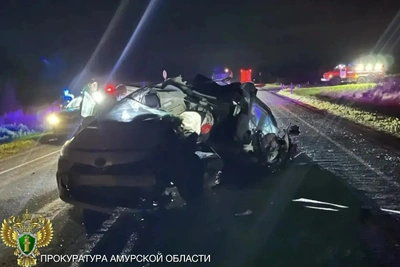 ДТП с двумя погибшими в Приамурье: решается вопрос о деле