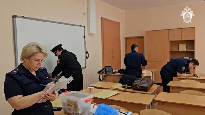 Источник: СУ СК по Челябинской области