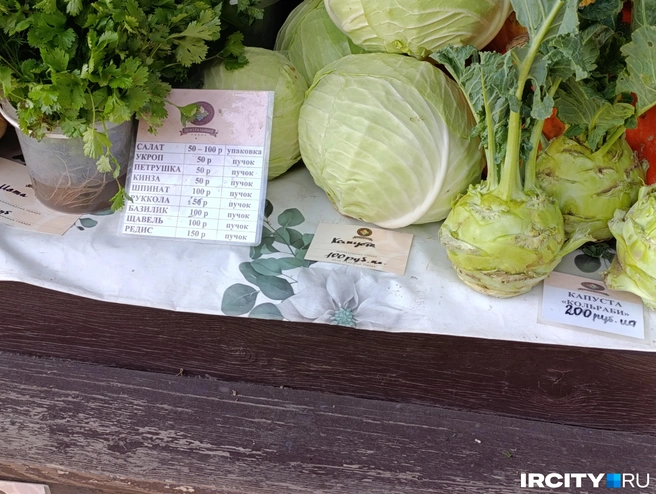 Вилок капусты у продавцов можно купить за 70 рублей/килограмм, а на социальных рядах&nbsp;— за 100 | Источник: Даниил Конин / «ИрСити»