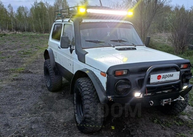 Автомобилю 33 года | Источник: Drom.ru