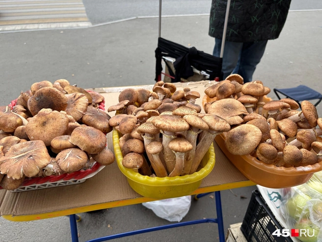 Красиво? | Источник: Кирилл Митин