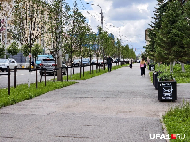Да вроде и так нормально, нет? | Источник: Булат Салихов / UFA1.RU