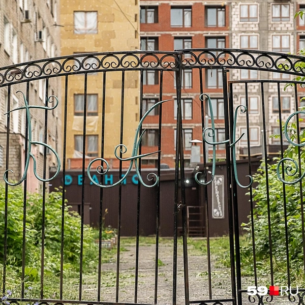 …и буквы на них | Источник: Василина Любимова / 59.RU