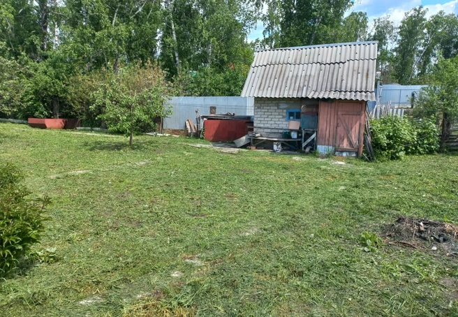 Это, судя по всему, баня. Как заверяет продавец, прогревается она моментально | Источник: domclick.ru