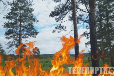 Амурские авиапожарные вылетели на тушение лесов в Томскую область