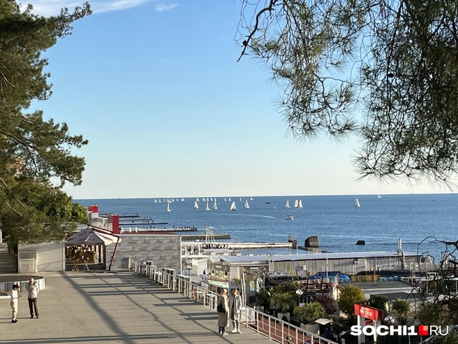 Нормального интернета в Сочи нет больше месяца | Источник: Анна Грицевич / SOCHI1.RU