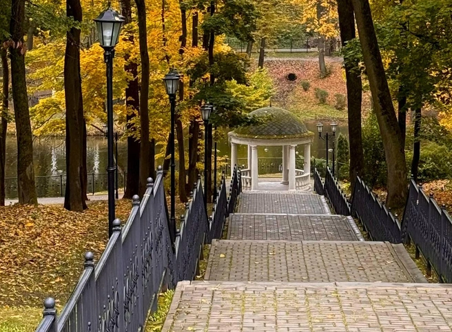 Платоновский парк | Источник: Алена Мельникова