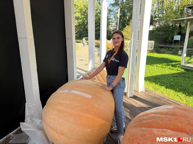 Мария из Москвы вырастили гигантскую тыкву и установила рекорд в России по полевой тыкве в 56 килограммов | Источник: Артем Обловатный / MSK1.RU