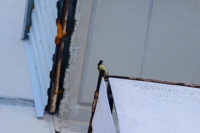 Московский циклон: снег в конце апреля дойдет ли до Уфы?