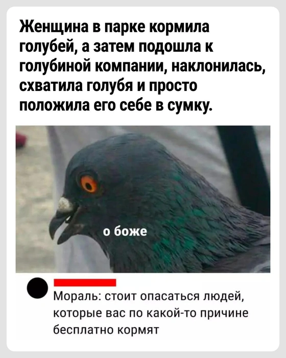 Делаем выводы | Источник: Городские медиа
