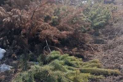 Забайкальские сельчане боятся пожаров из-за куч веток