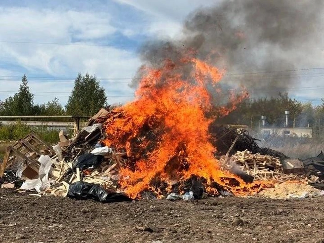 Вещества синтетического и растительного происхождения были доставлены на закрытый полигон и уничтожены огнем | Источник: Пресс-служба УМВД России по Рязанской области