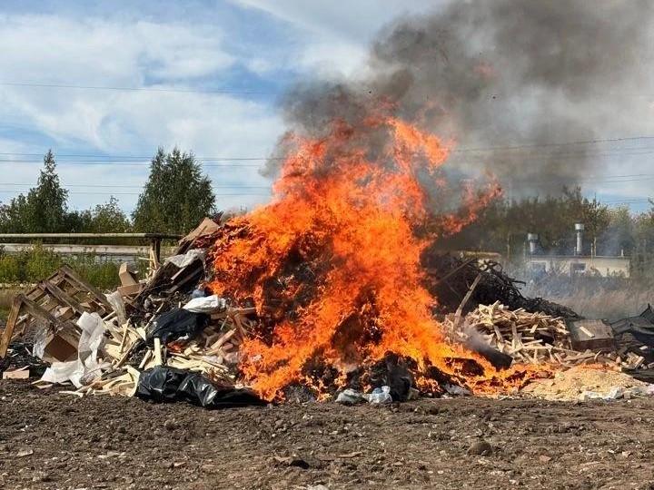 В Рязани уничтожили более 43 килограммов наркотиков