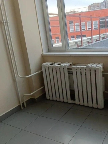 Все привели в порядок | Источник: предоставлено управлением образования Красноярска