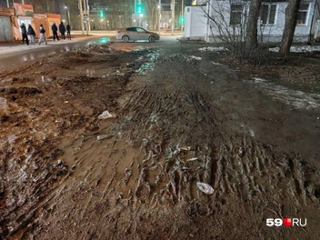 Весной после дождей обойти грязь можно только по дороге, рискуя попасть под машину | Источник: Читатель 59.RU