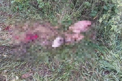В Мордовии задержан подозреваемый в отстреле двух лосей