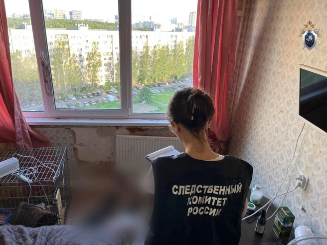 Женщину зарезали в квартире на улице Доблести. Арестована дочь | Источник: СУ СК РФ по Санкт-Петербургу