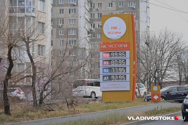 Источник: Елена Буйвол / VLADIVOSTOK1.RU