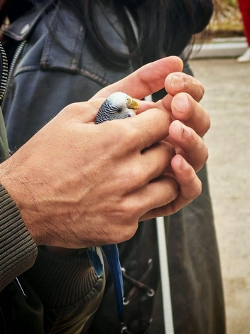 «Я, конечно, хотел подольше летать, но ладно. Надеюсь, ты меня покормишь, человек» | Источник: администрация Оренбурга