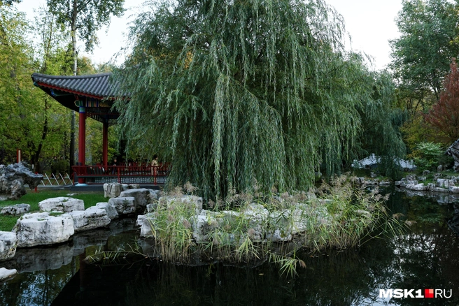 Парк может быть и таким | Источник: Артём Устюжанин / MSK1.RU